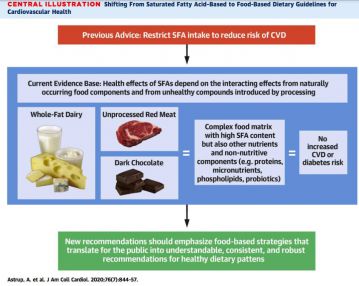Холестериновая теория атеросклероза