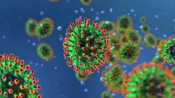 Информация по профилактике новой коронавирусной инфекции